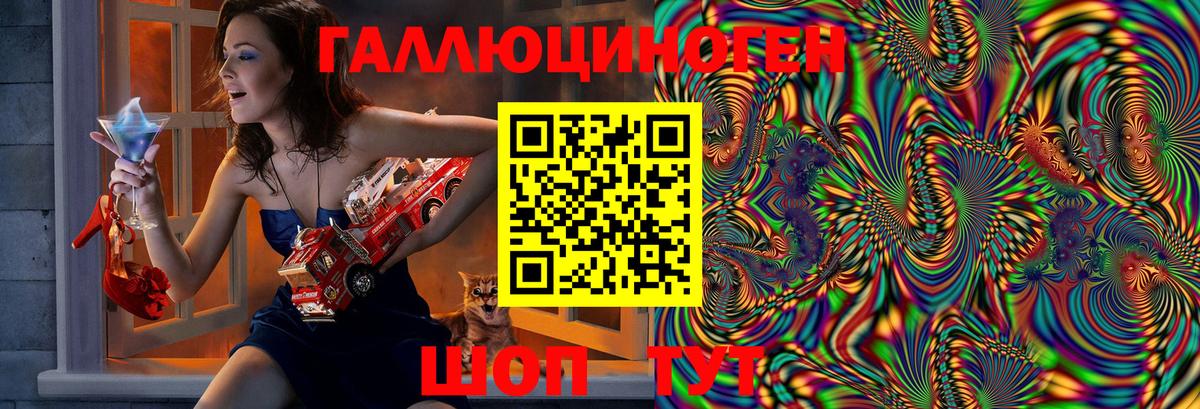 Псилоцибиновые грибы Psilocybine cubensis Азнакаево