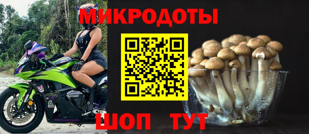 Галлюциногенные грибы прущие грибы Азнакаево