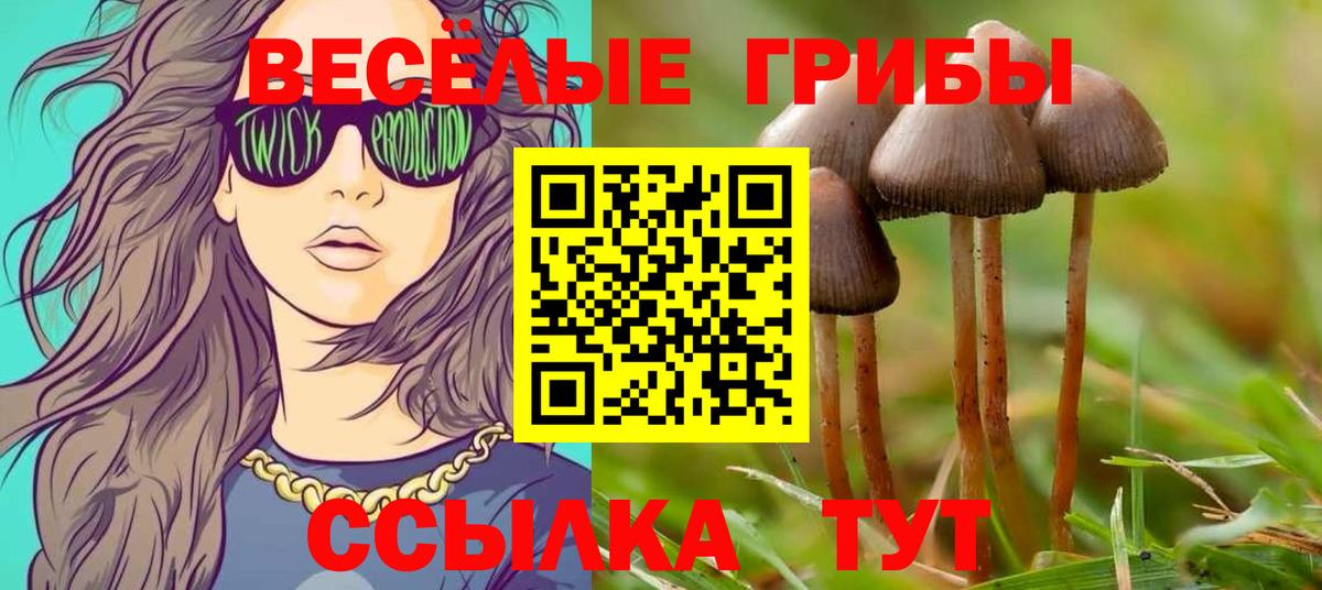 Азнакаево  Псилоцибиновые грибы мухоморы  Вход с VPN 